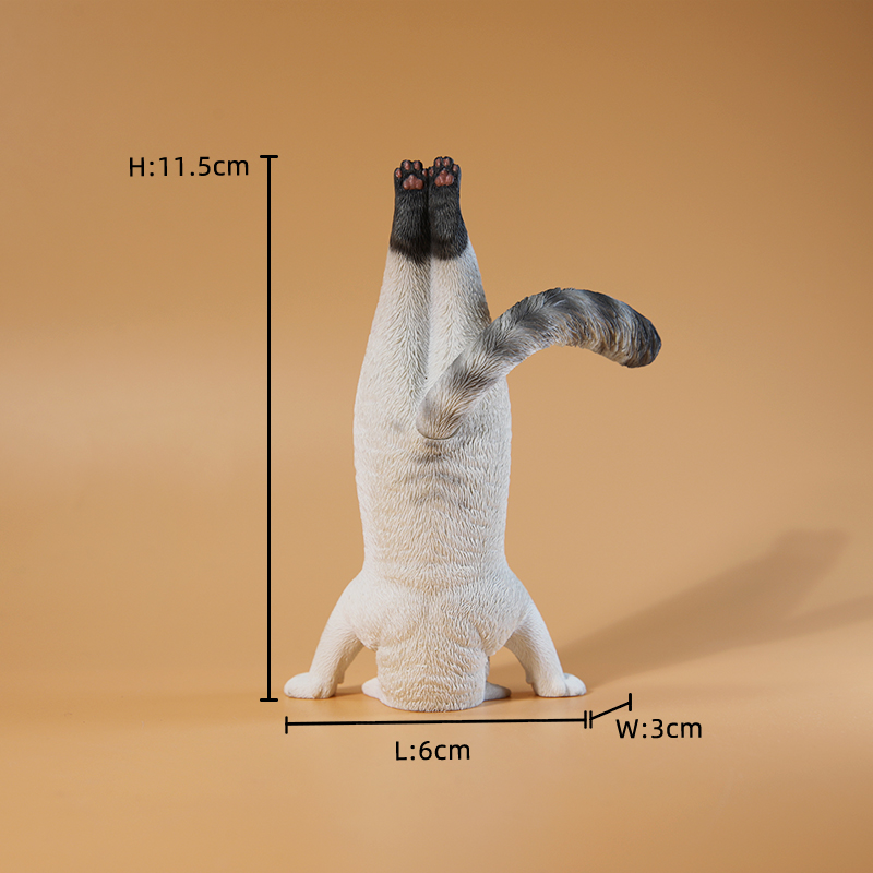 Yoga Fitness Tva - 1/6 Schaal Mini Gesimuleerde Fitness Kat
