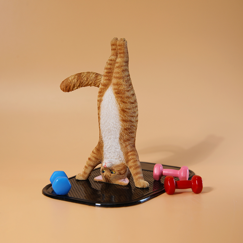 1/6 Schaal Mini Gesimuleerde F - Yoga Fitness Tva recensie en prijs