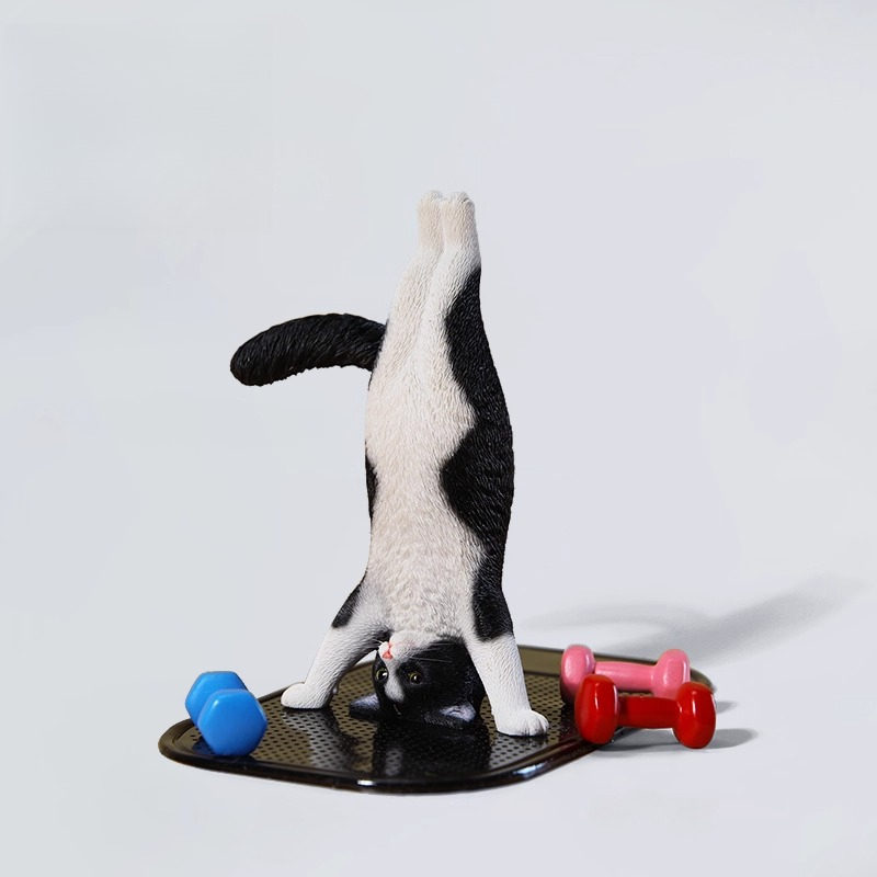 1/6 Schaal Mini Gesimuleerde F - Yoga Fitness Tva recensie en prijs